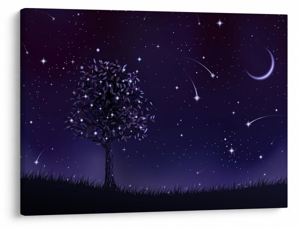 Obraz - Noc uchwycona przez ilustrację (70x50 cm)