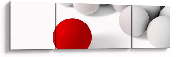 Obraz kuli (170x50 cm)