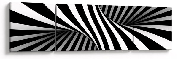 Abstrakcyjny obraz z paskami zebry (170x50 cm)