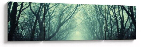 Obraz - Droga z aleją drzew (170x50 cm)