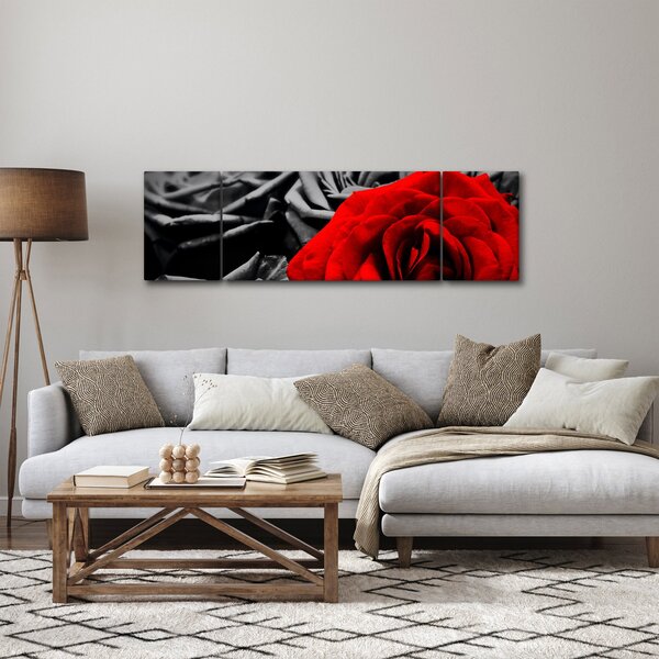 Obraz - Kwiaty róży (170x50 cm)