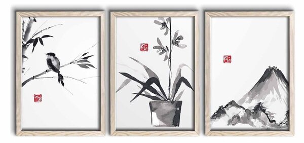 Obrazy zestaw 3 szt. 38x53 cm – Wallity