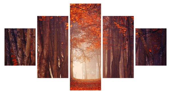 Obraz - Jesienny las (125x70 cm)
