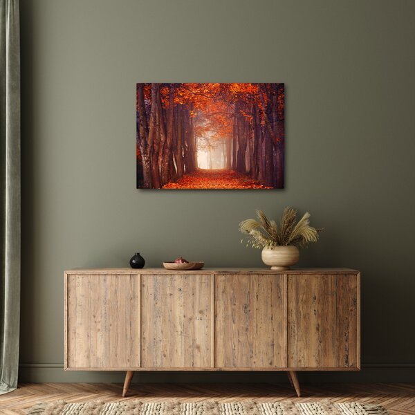 Obraz - Jesienny las (70x50 cm)