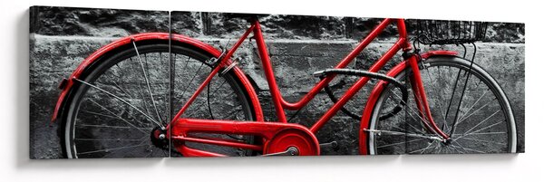 Obraz - Zabytkowy rower (170x50 cm)