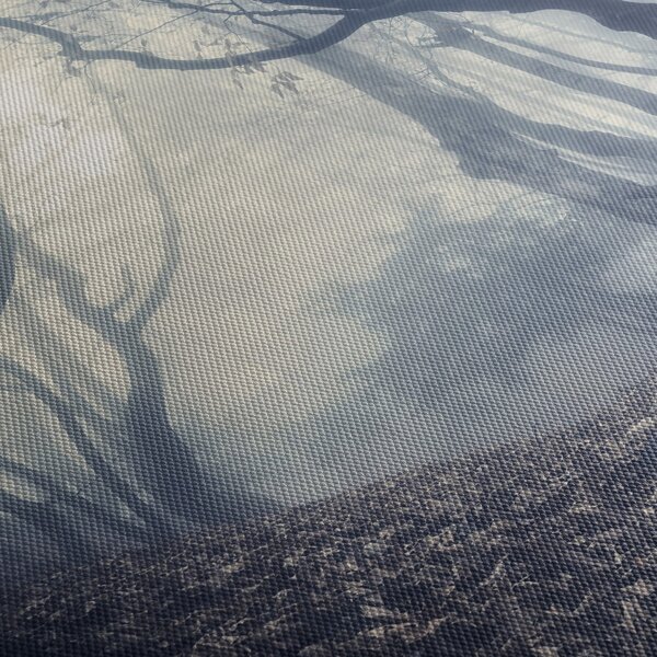 Obraz- Las we mgle (170x50 cm)