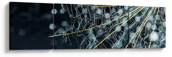 Obraz - Kwiat z pajęczyną (170x50 cm)