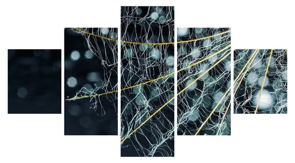 Obraz - Kwiat z pajęczyną (125x70 cm)