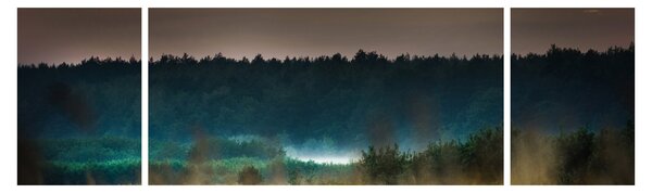 Obraz - Krajobraz górski (170x50 cm)
