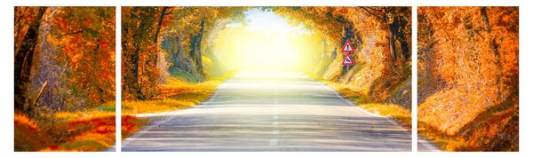 Obraz - Brama wykonana z koron drzew (170x50 cm)