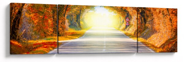 Obraz - Brama wykonana z koron drzew (170x50 cm)