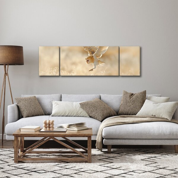 Obraz - Sowa Płomykówka (170x50 cm)