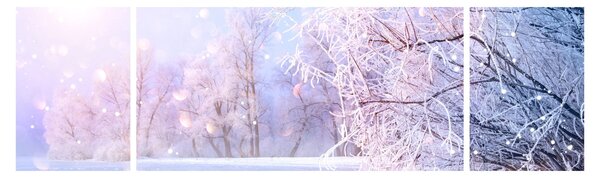Obraz - Mroźna zima (170x50 cm)