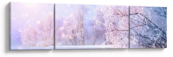 Obraz - Mroźna zima (170x50 cm)