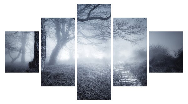 Obraz- Droga we mgle (125x70 cm)