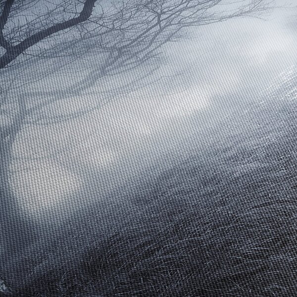 Obraz- Droga we mgle (170x50 cm)