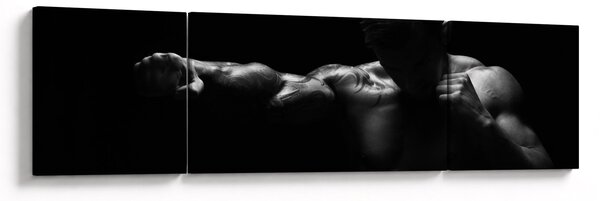 Obraz - Uderzenie pięścią (170x50 cm)