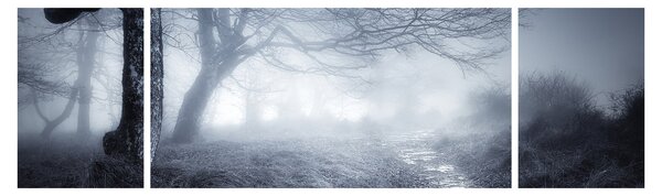 Obraz- Droga we mgle (170x50 cm)