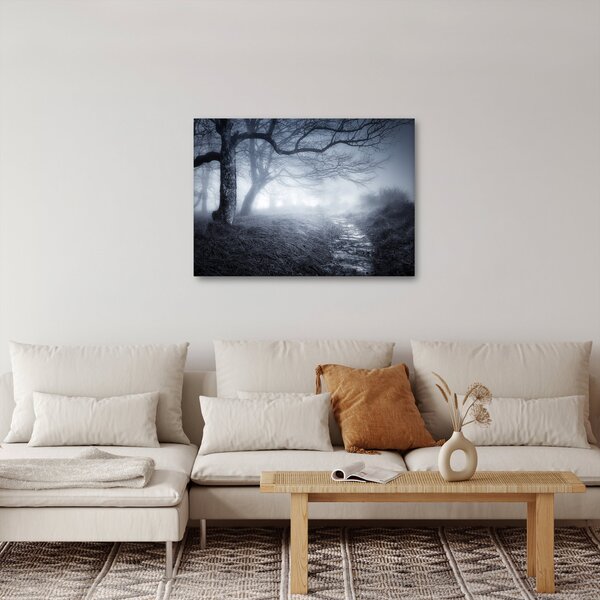 Obraz- Droga we mgle (70x50 cm)
