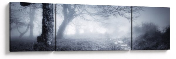 Obraz- Droga we mgle (170x50 cm)