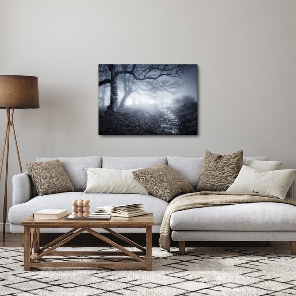 Obraz- Droga we mgle (70x50 cm)