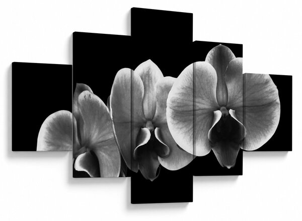 Obraz kwiatu orchidei (125x70 cm)