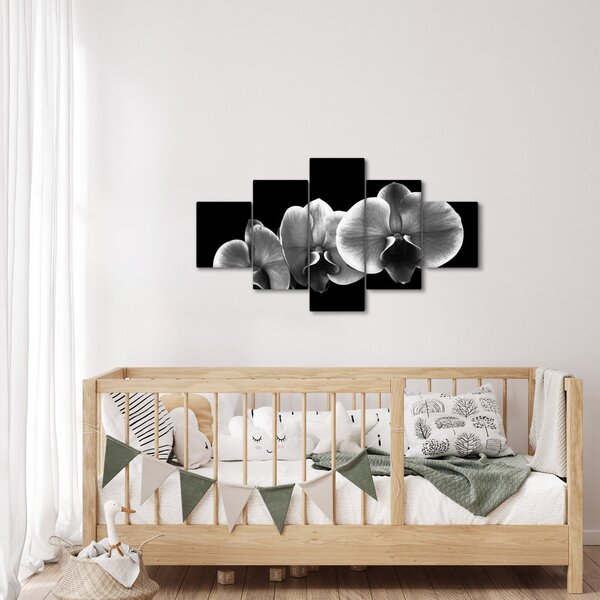 Obraz kwiatu orchidei (125x70 cm)