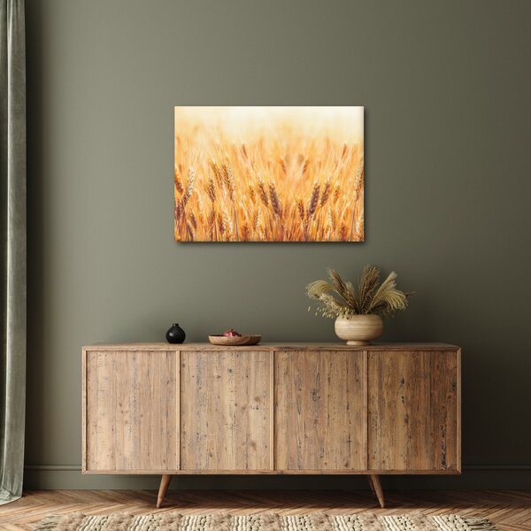 Obraz - pole z ziarnami (70x50 cm)