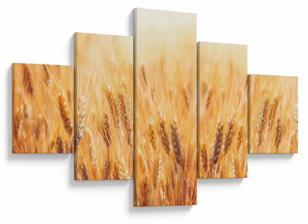 Obraz - pole z ziarnami (125x70 cm)