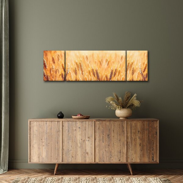 Obraz - pole z ziarnami (170x50 cm)