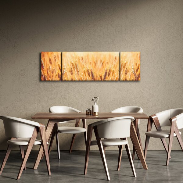 Obraz - pole z ziarnami (170x50 cm)