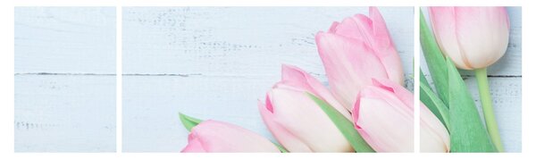 Zdjęcie - Bukiet tulipanów (170x50 cm)