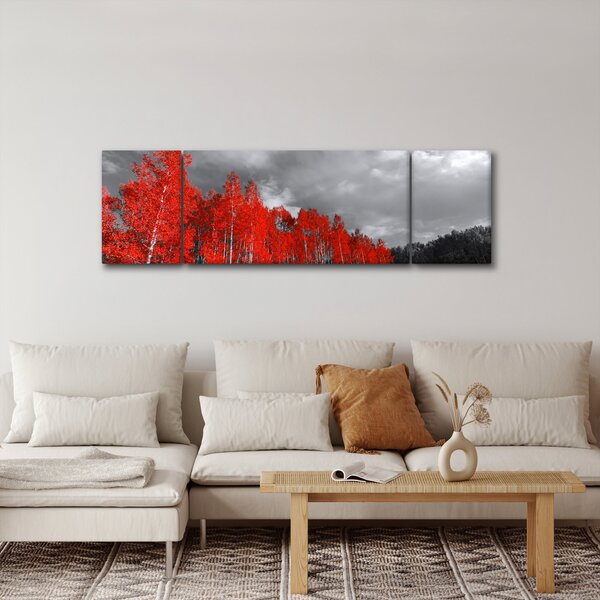 Obraz - Drzewa w kolorze jesieni (170x50 cm)