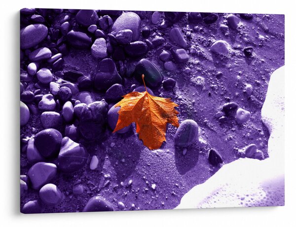 Obraz - Plaża morska (70x50 cm)