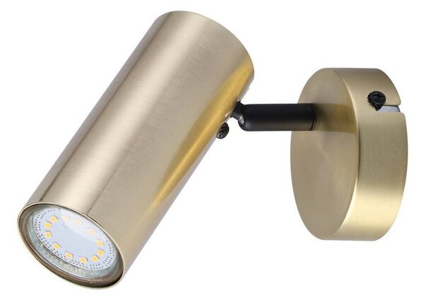 Metalowa lampa punktowa w kolorze złota 8x16 cm Colly – Candellux Lighting
