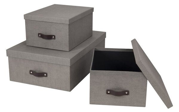Pojemniki z pokrywką zestaw 3 szt. Inge – Bigso Box of Sweden