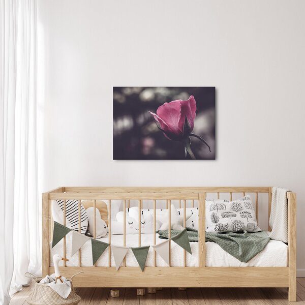 Obraz - Detal kwiatu róży (70x50 cm)