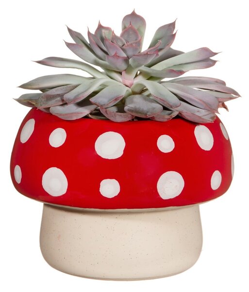 Kamionkowa doniczka ø 12 cm – Sass & Belle