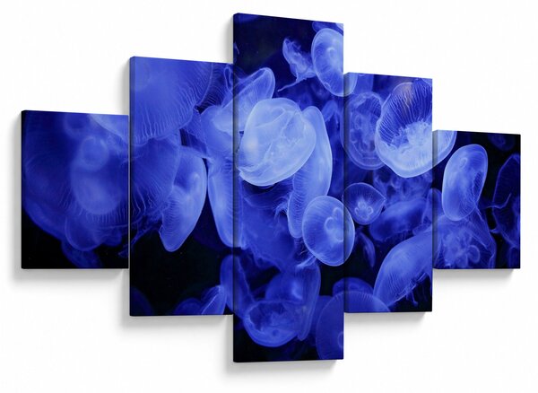 Obraz - Meduzy (125x70 cm)