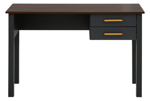 Biurko 50x120 cm Marion – Støraa