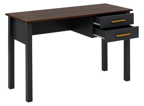 Biurko 50x120 cm Marion – Støraa