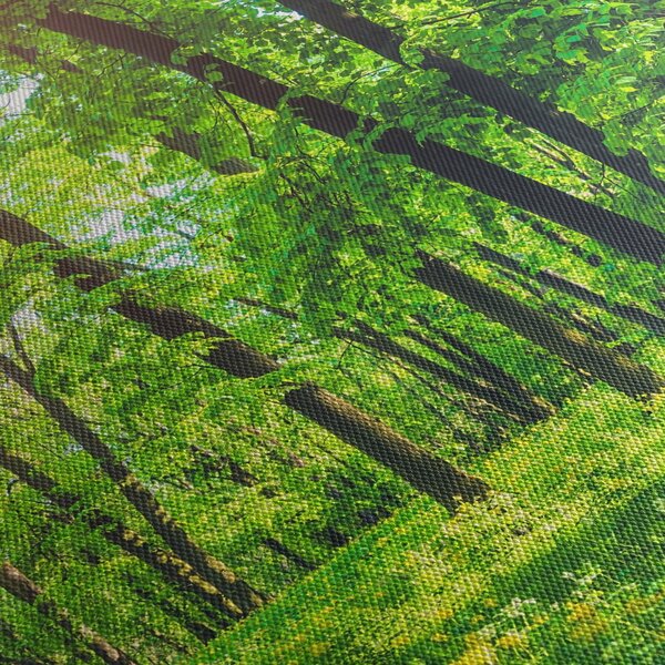 Obraz - Wiosenny las liściasty (170x50 cm)