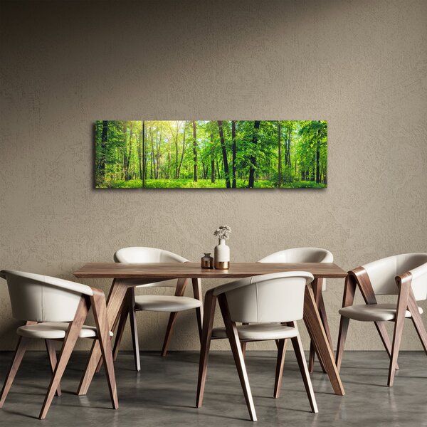 Obraz - Wiosenny las liściasty (170x50 cm)