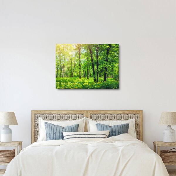 Obraz - Wiosenny las liściasty (70x50 cm)