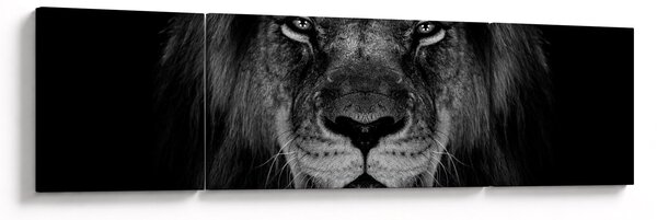 Obraz - lew i jego majestatyczność (170x50 cm)