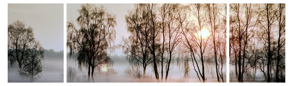 Obraz - Poranna suchość (170x50 cm)