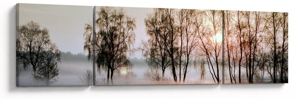 Obraz - Poranna suchość (170x50 cm)