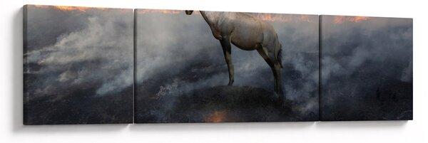 Obraz kozicy w płomieniach (170x50 cm)