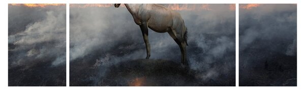 Obraz kozicy w płomieniach (170x50 cm)