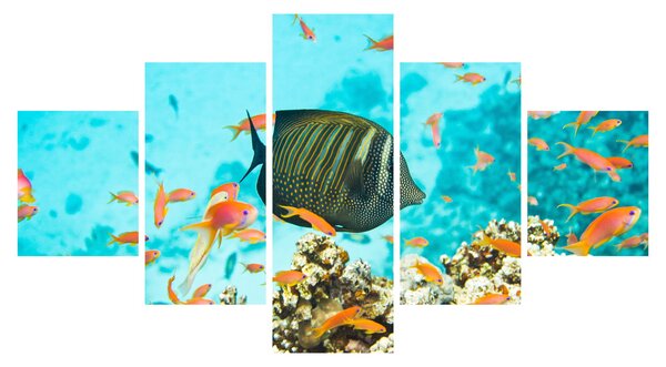 Obraz podwodnego świata (125x70 cm)